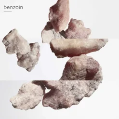 Discount Damen Düfte·Eau De Parfum Spray