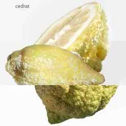 New Herren Düfte·Eau De Parfum Spray