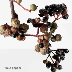 New Herren Düfte·Eau De Parfum Spray