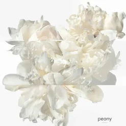 Clearance Damen Düfte·Eau De Parfum Spray