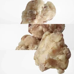 Clearance Damen Düfte·Eau De Toilette Spray