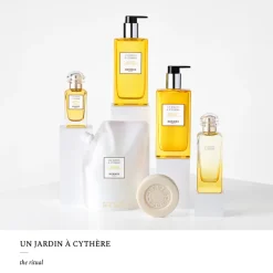 Best Damen Duschpflege·Hair & Shower