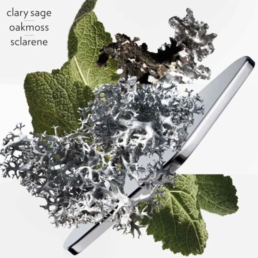 Outlet Herren Düfte·Eau De Parfum Spray