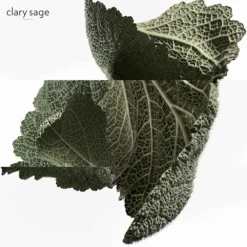 Outlet Herren Düfte·Eau De Parfum Spray