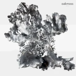 Outlet Herren Düfte·Eau De Parfum Spray