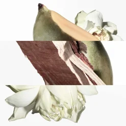 Hot Damen Düfte·Haarparfum