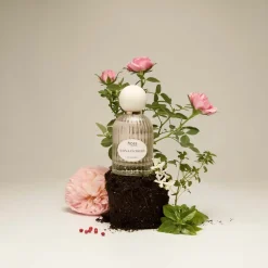 Outlet Damen Düfte·Eau De Parfum Spray