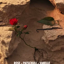 Damen Düfte·Eau De Parfum Spray