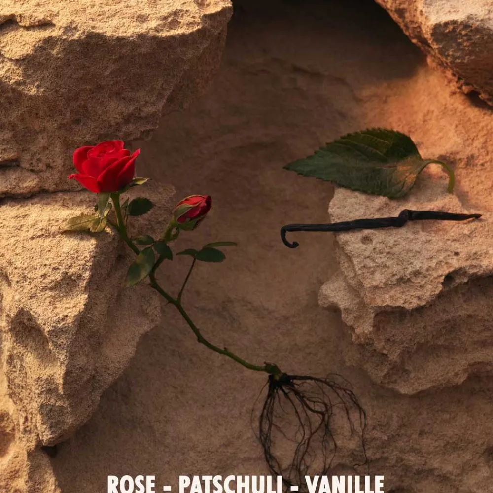 Online Damen Düfte·Eau De Parfum Spray