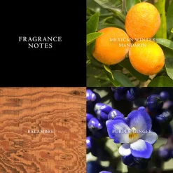 Herren Düfte·Eau De Toilette Spray