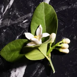 Sale Herren Düfte·Eau De Toilette Spray