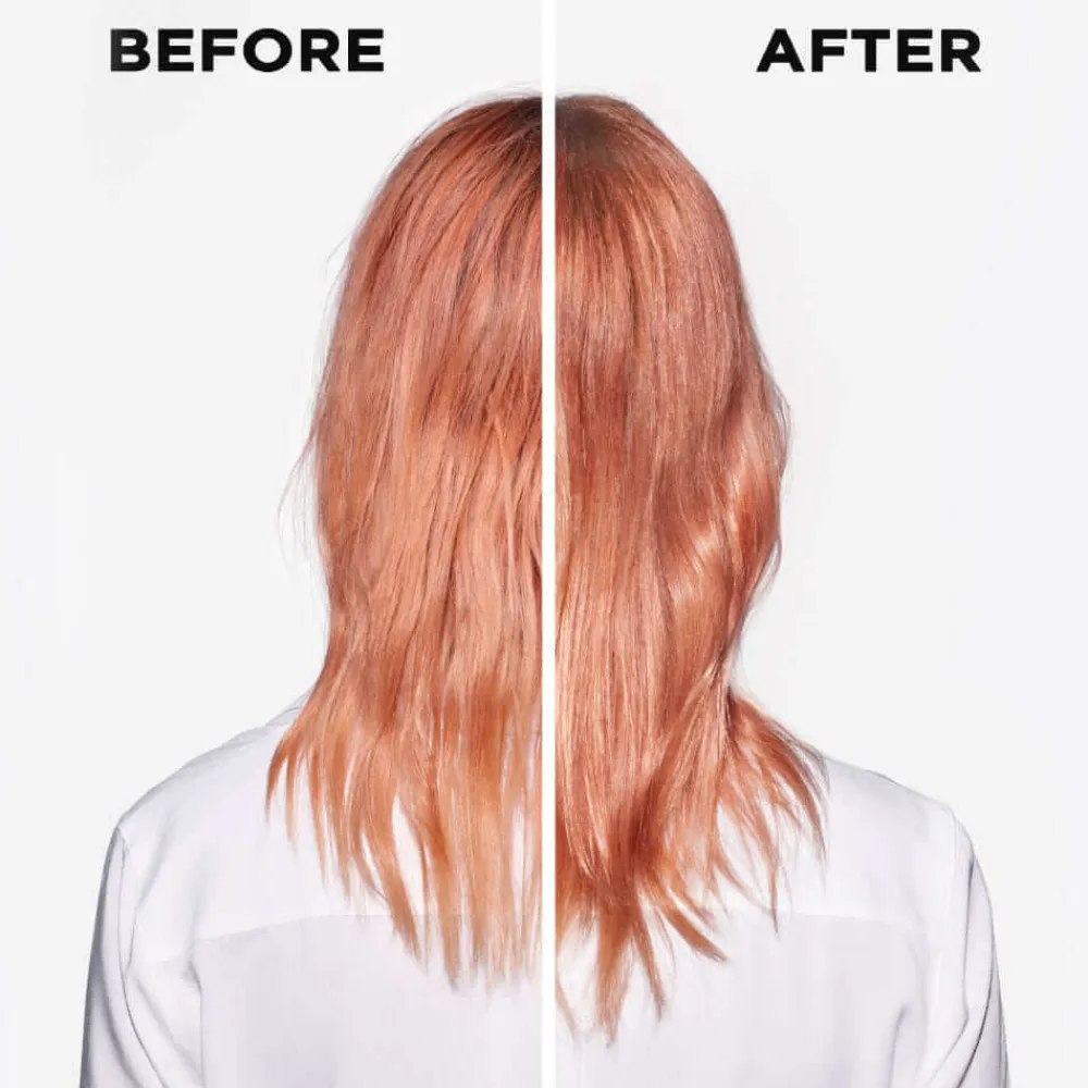 Clearance Shampoo·Hair Care