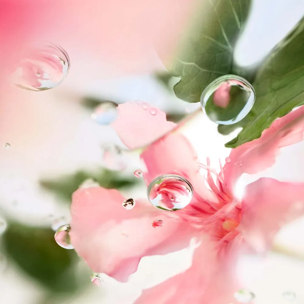 Clearance Damen Düfte·Eau De Toilette Spray