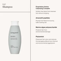 Clearance Shampoo·Shampoo