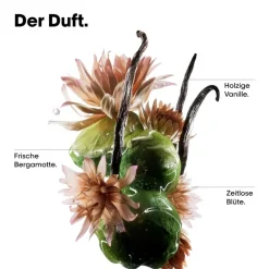 New Shampoo·Hair Care