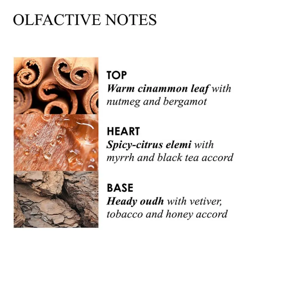 New Reinigung·Bath & Shower