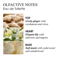 Hot Pflege·Body Lotion