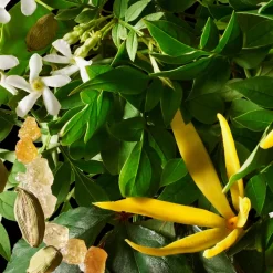 Hot Reinigung·Bath & Shower