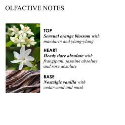 Handpflege·Handreinigung