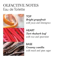 Outlet Reinigung·Soap