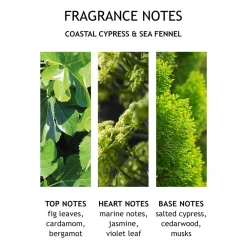 Online Damen Körperpflege·Body Lotion