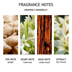 Hot Pflege·Body Lotion