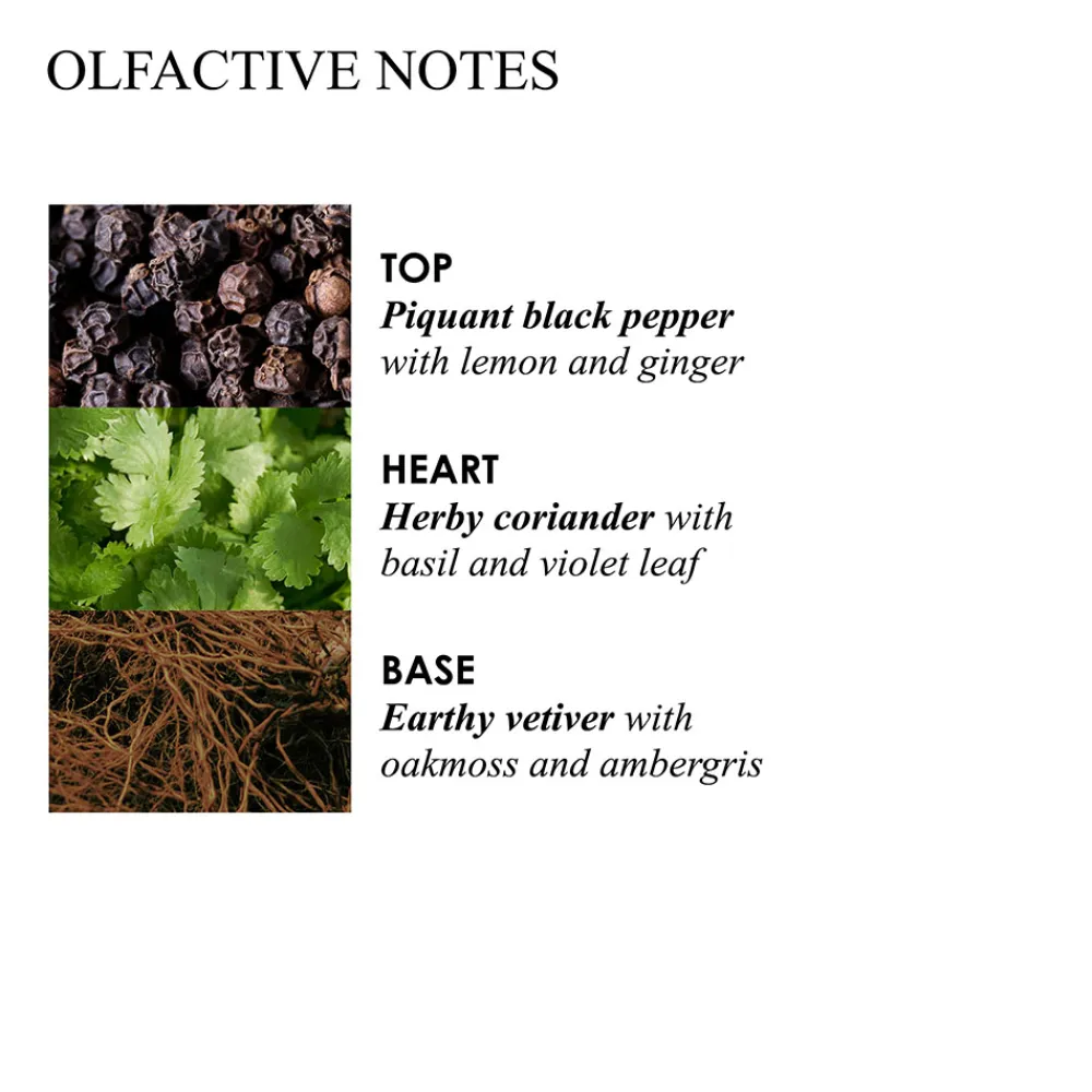 New Reinigung·Bath & Shower