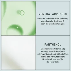 Outlet Styling-Produkte