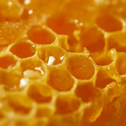 Online Reinigung·Body Peeling