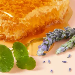 Sale Handpflege·Handpflege