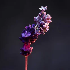 Discount Herren Deodorants·Deo Stick