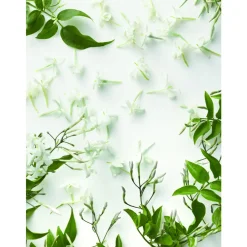 Discount Damen Düfte·Eau De Parfum Spray