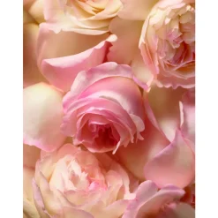 Discount Damen Düfte·Eau De Parfum Spray