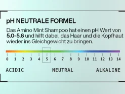 Online Shampoo·Shampoo