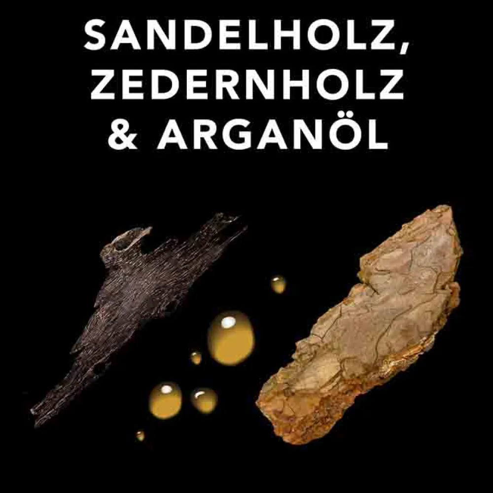 New Styling-Produkte