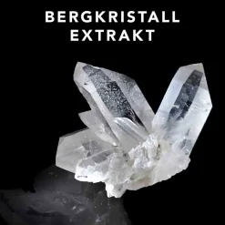 Clearance Shampoo·Shampoo