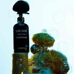 Clearance Reinigung·Bath & Shower