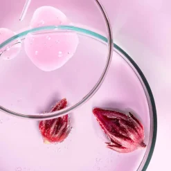 Hot Serum & Kur ·Serum