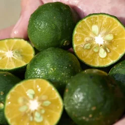 Sale Gesichtpflege·Gesichtspflege