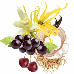 Hot Damen Düfte·Eau De Parfum Spray