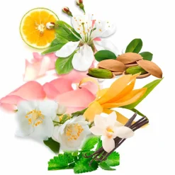 New Damen Düfte·Eau De Parfum Spray