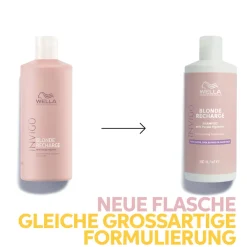 Discount Shampoo·Shampoo