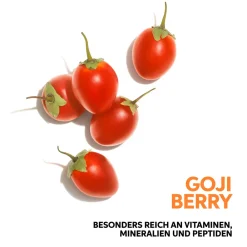 Online Shampoo·Shampoo