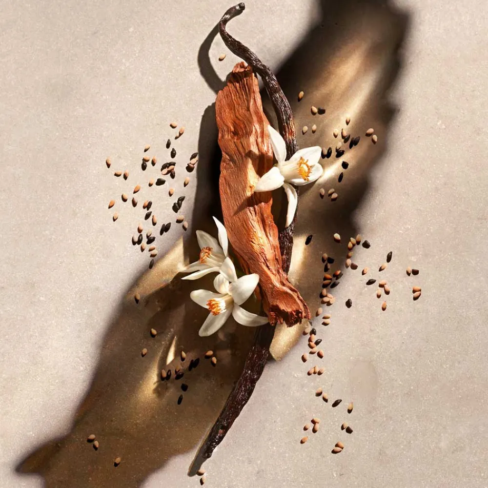 Hot Damen Duschpflege·Shower Gel